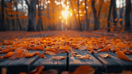 Wooden Bench Covered in Leaves in Forest
