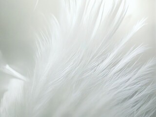 Obraz premium white feather on the sand