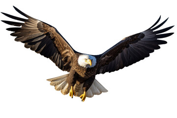 Naklejka premium Bald Eagle in Flight on Transparent Background