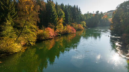 Autumn colorful forest by river Brda at sunrise in Poland. - obrazy, fototapety, plakaty