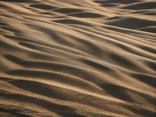 Fototapeta premium ripples in the sand