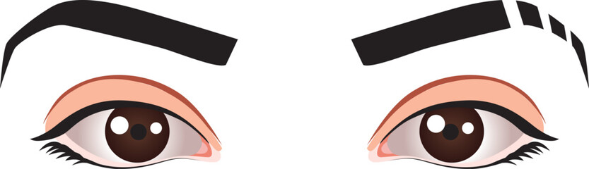 eyes in vector on a white background. Background excluded