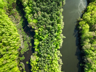 Top down view of river and swamps at spring.