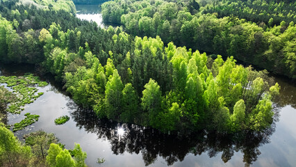 Winding river and forests at spring. Nature in Poland.