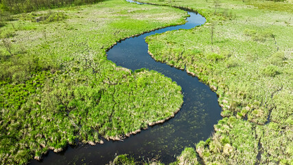 Winding river and swamps at spring. Wildlife in Poland.