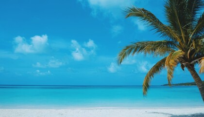 palm tree on the beach against the blue sky, summer paradise, seaside holiday, travel, sunny day