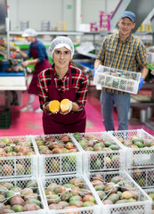 Latino woman with mango slices in hands at food factory warehouse