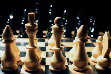 Wooden chess pieces on the board