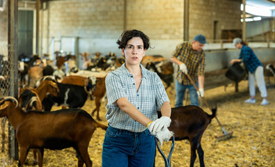 Successful Hispanic woman farmer, breeder of small cattle, posing in barn against background of...