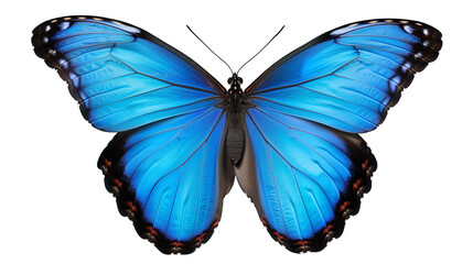 Blue butterfly on a transparent background. Generative AI