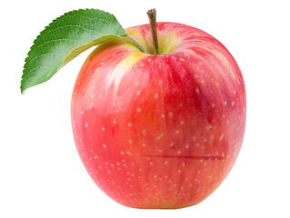 A Single Apple with a Transparent Background PNG