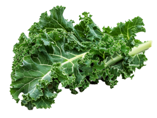A Single Kale with a Transparent Background PNG