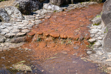 公園の人工の小川
