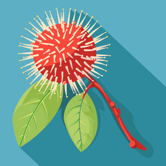 Rambutan icon. Flat illustration of Rambutan vector icon for web design