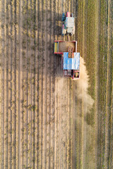 Directly above drone view. Potato Harvester with a tractor. Seasonal harvesting of potatoes.