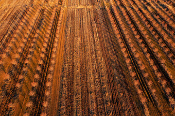 Fototapeta premium Aerial View of Plowed Field in Georgia