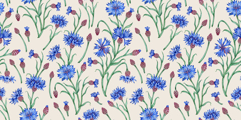 Cornflowers blue flowers pattern on gray background watercolor illustration. Botanical composition element isolated from background. Suitable for cosmetics, aromatherapy, medicine, treatment, care,