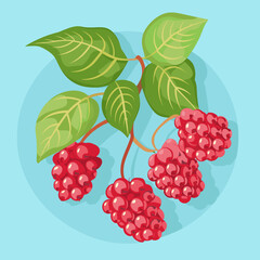 A close up of a bunch of red berries. The berries are clustered together and are surrounded by green leaves. The image has a vibrant and fresh feel to it, with the bright red berries