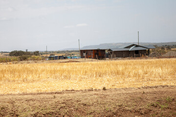 Fototapeta premium Highway Scene in Kenya 