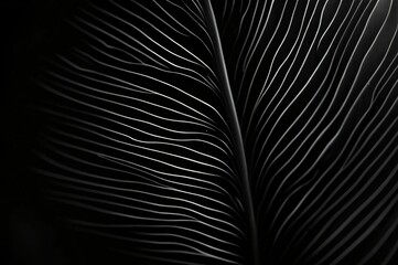 Dark tropical leaves with pronounced texture, natural pattern. Black leaves background. Textures of abstract black leaves for tropical leaf background. Flat lay, dark nature concept, tropical leaf