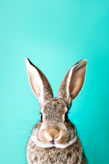 Obraz premium Vertical portrait of a rabbit on a turquoise background background. Easter bunny on light pastel green blue background with copy space for text. For banner, ad, billboard, card, postcard design