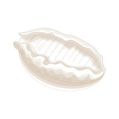 Vector Illustration logo Simple line art abalone