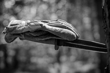 Tactical gloves on top of a tactical knife with a blade stuck in a tree.
Military ammunition,...