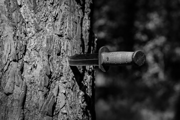 An army knife with a blade stuck in a tree.
A knife with a green rubberized handle and a black...