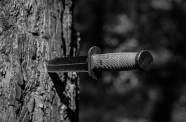 An army knife with a blade stuck in a tree.
A knife with a green rubberized handle and a black blade.
Black and white photo