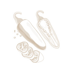 Vector Illustration logo Simple line art green jalapeno peppers