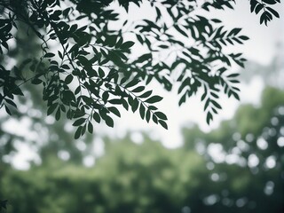 green leaves background