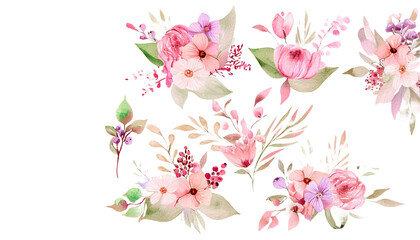 pink watercolor arrangements with flowers, set, bundle, bouquets with wildflowers, leaves, branches. Botanical illustration