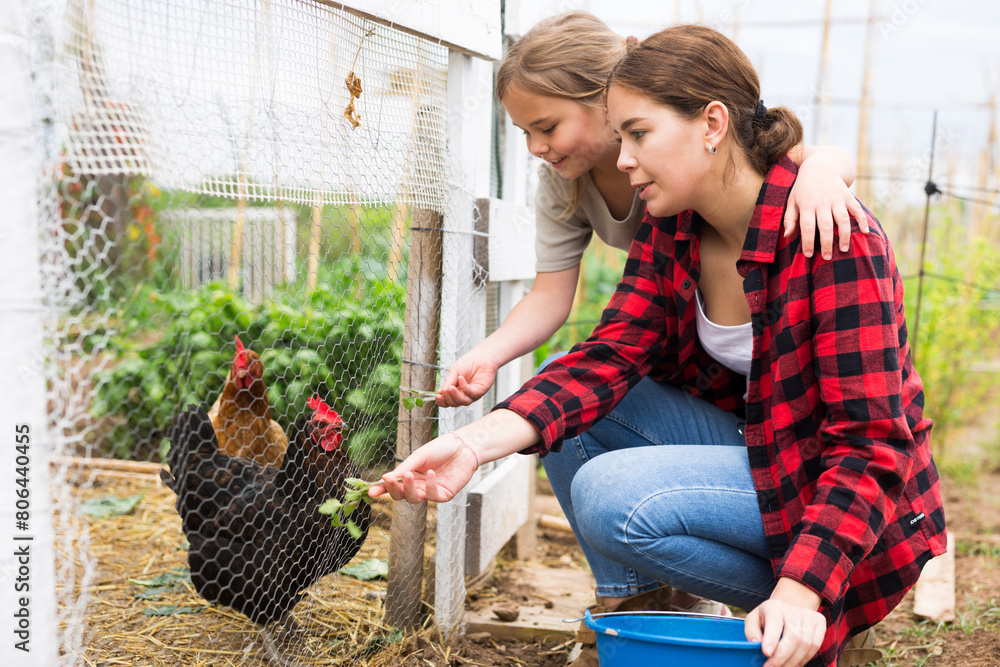 Wall mural Mom and her daughter feed chickens in chicken coop in the backyard of country house