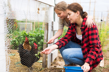 Mom and her daughter feed chickens in chicken coop in the backyard of country house