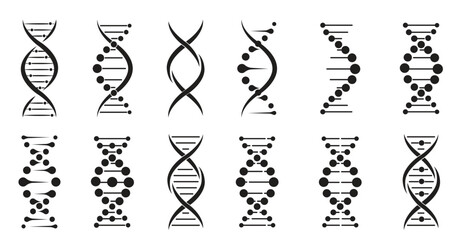 DNA molecule set