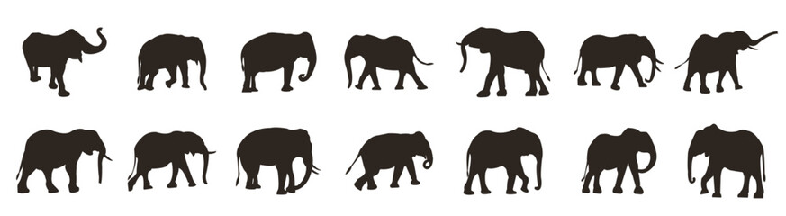 Elephant icons collection