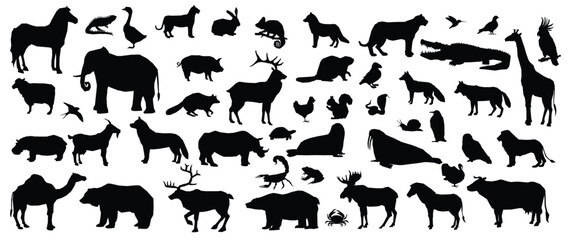 Animals silhouette big set