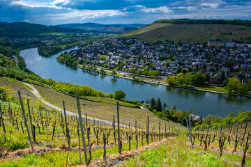 Mosel vineyards in spring