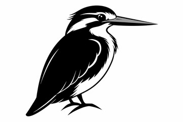 kingfisher silhouette on white background, Vector illustration, icon, svg, characters, Holiday t shirt, Hand drawn trendy Vector illustration, eagle silhouette