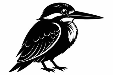 kingfisher silhouette on white background, Vector illustration, icon, svg, characters, Holiday t shirt, Hand drawn trendy Vector illustration, eagle silhouette