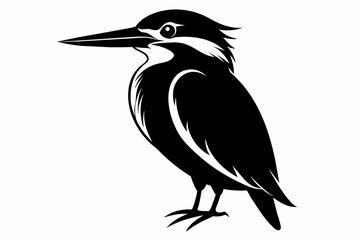 kingfisher silhouette on white background, Vector illustration, icon, svg, characters, Holiday t shirt, Hand drawn trendy Vector illustration, eagle silhouette