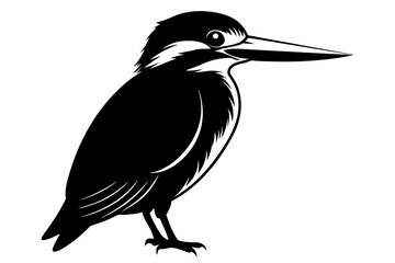 kingfisher silhouette on white background, Vector illustration, icon, svg, characters, Holiday t shirt, Hand drawn trendy Vector illustration, eagle silhouette
