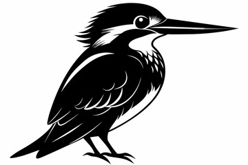 kingfisher silhouette on white background, Vector illustration, icon, svg, characters, Holiday t shirt, Hand drawn trendy Vector illustration, eagle silhouette