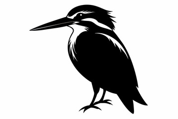 kingfisher silhouette on white background, Vector illustration, icon, svg, characters, Holiday t shirt, Hand drawn trendy Vector illustration, eagle silhouette
