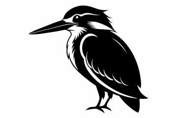 kingfisher silhouette on white background, Vector illustration, icon, svg, characters, Holiday t shirt, Hand drawn trendy Vector illustration, eagle silhouette