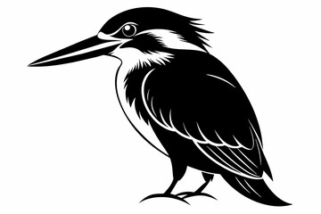 kingfisher silhouette on white background, Vector illustration, icon, svg, characters, Holiday t shirt, Hand drawn trendy Vector illustration, eagle silhouette