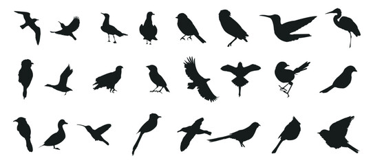 Bird silhouette collection