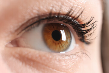 Macro photo of woman with beautiful eyes