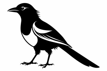 Magpie silhouette on white background, Vector illustration, icon, svg, characters, Holiday t shirt, Hand drawn trendy Vector illustration