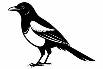 Magpie silhouette on white background, Vector illustration, icon, svg, characters, Holiday t shirt, Hand drawn trendy Vector illustration
